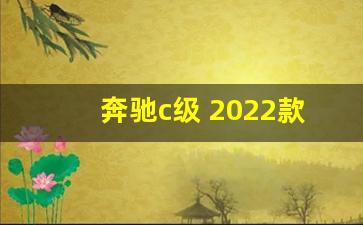 奔驰c级 2022款报价